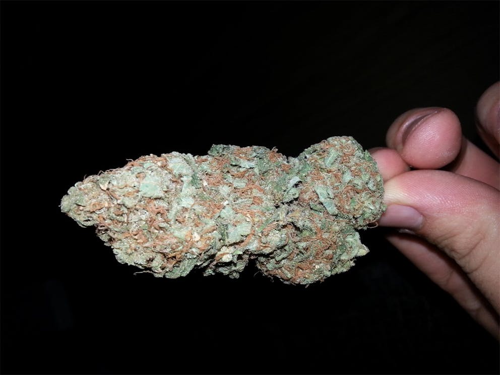 Photos of Super Skunk Weed Strain Buds | Leafly