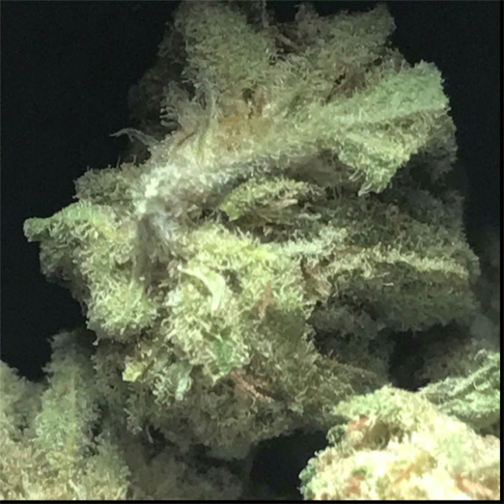 Super Skunk Weed Strain Information | Leafly