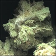 User uploaded image of Super Skunk