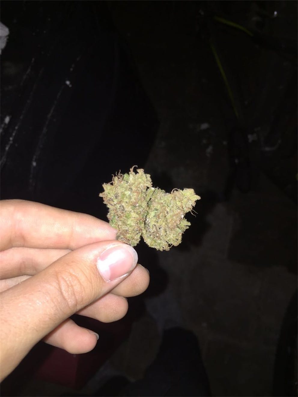 Photos of Super Skunk Weed Strain Buds | Leafly