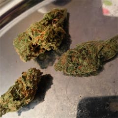 User uploaded image of Super Sour Diesel