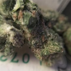 User uploaded image of Super Sour Diesel