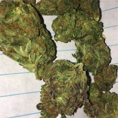 User uploaded image of Super Sour Diesel