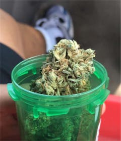User uploaded image of Super Sour OG