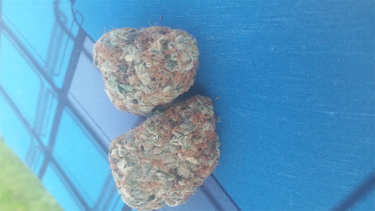 Super Sour OG aka Super Sour OG Kush, SS OG Weed Strain Information