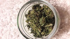 User uploaded image of Super Sour Skunk