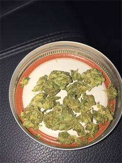User uploaded image of Super Sour Skunk