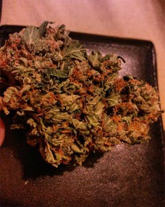 User uploaded image of Super Sour Skunk
