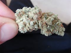 User uploaded image of Super Sour Widow