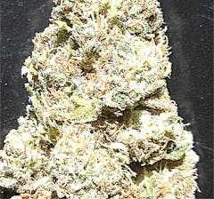 User uploaded image of Super Sweet