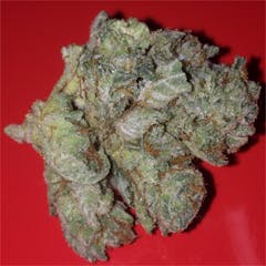 User uploaded image of Superglue