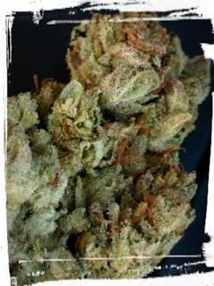 User uploaded image of Superglue