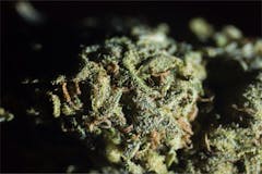 User uploaded image of Superglue