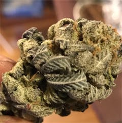 User uploaded image of Superglue