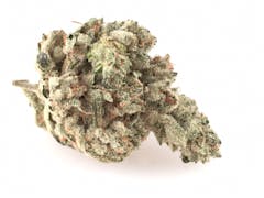 User uploaded image of Superglue