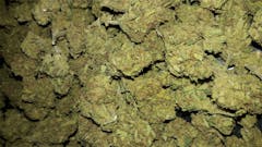 User uploaded image of Superman OG