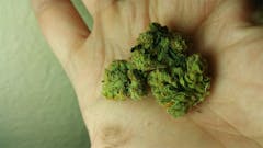 User uploaded image of Supermax OG