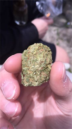 User uploaded image of Supernova