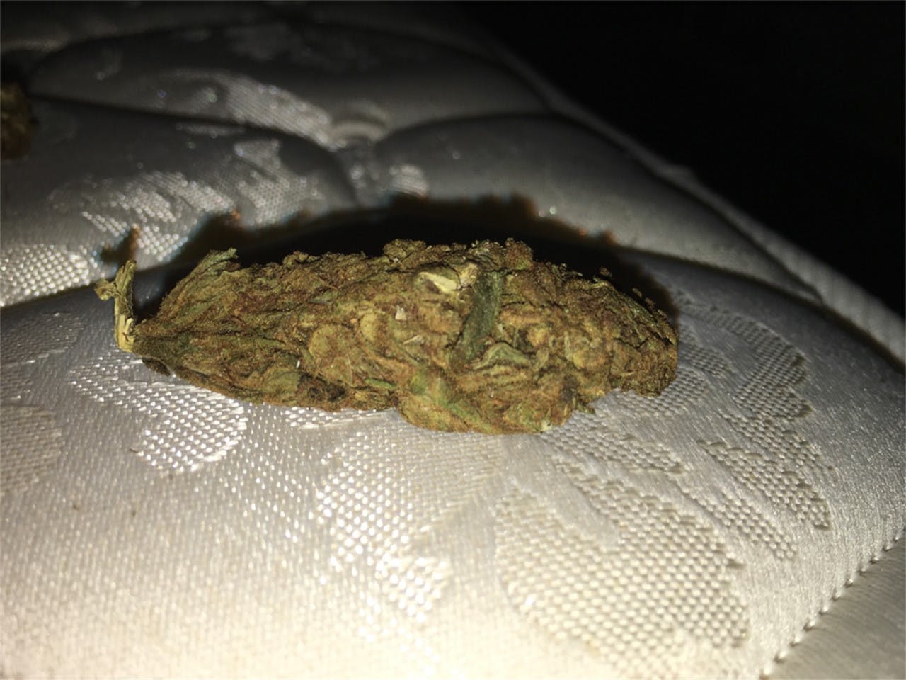 User uploaded image of Swazi Gold