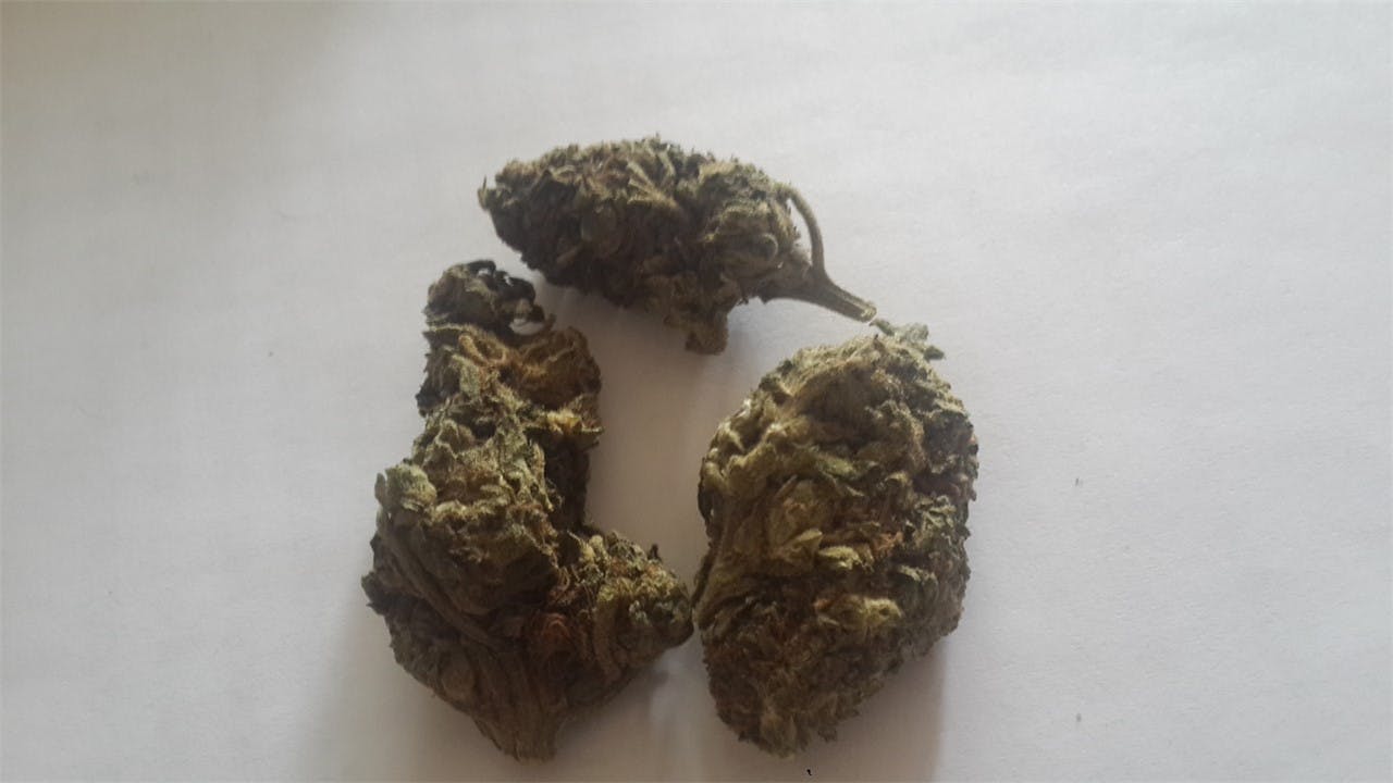 User uploaded image of Swazi Gold