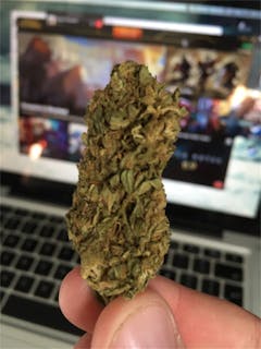 User uploaded image of Swazi Gold