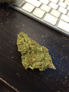 User uploaded image of Sweet Berry