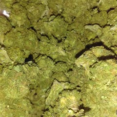 User uploaded image of Sweet Berry