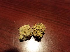 User uploaded image of Sweet Black Angel