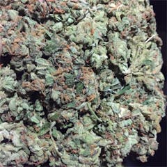 User uploaded image of Sweet Cheese