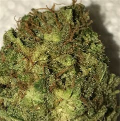 User uploaded image of Sweet Cheese