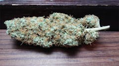 User uploaded image of Sweet Deep Grapefruit