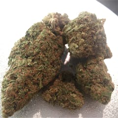 User uploaded image of Sweet Diesel