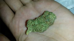 User uploaded image of Sweet Diesel