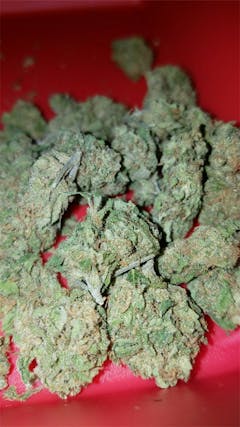 User uploaded image of Sweet Dream