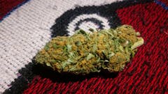 User uploaded image of Sweet Dreams