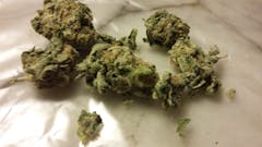 User uploaded image of Sweet Jane