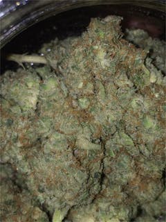 User uploaded image of Sweet Kush
