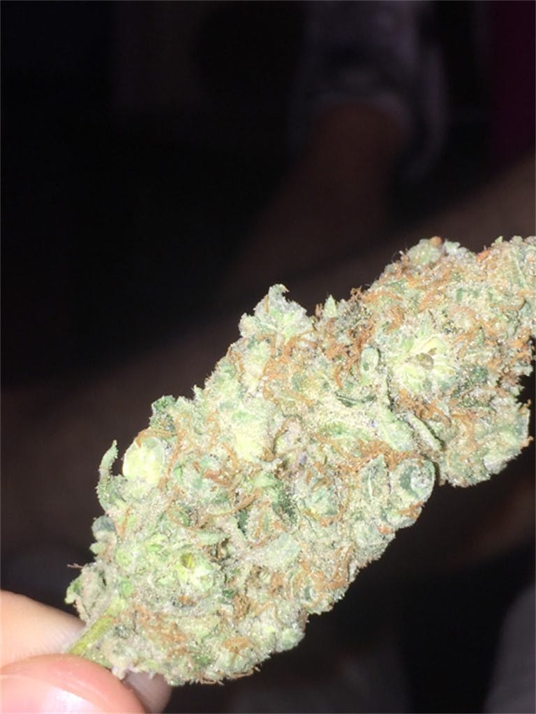 Sweet Kush Aka Sweet Og Kush Sweet Hindu Kush Weed Strain Information 2512