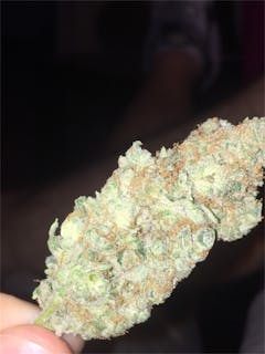 User uploaded image of Sweet Kush