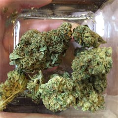 User uploaded image of Sweet Kush