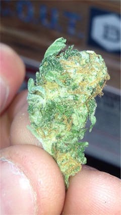 User uploaded image of Sweet Kush