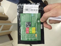 User uploaded image of Sweet Lafayette