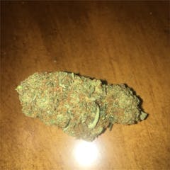 User uploaded image of Sweet Skunk