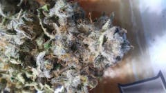User uploaded image of Sweet Tooth