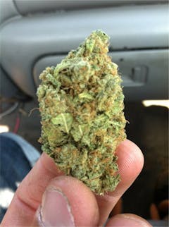 User uploaded image of Swiss Bliss