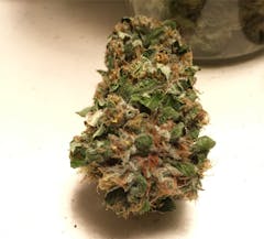 User uploaded image of Swiss Bliss