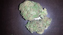 User uploaded image of Swiss Bliss