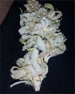 User uploaded image of Swiss Bliss