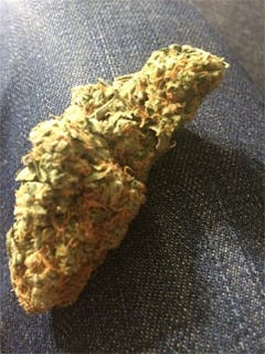 User uploaded image of Swiss Gold