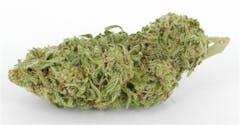 User uploaded image of Swiss Sativa